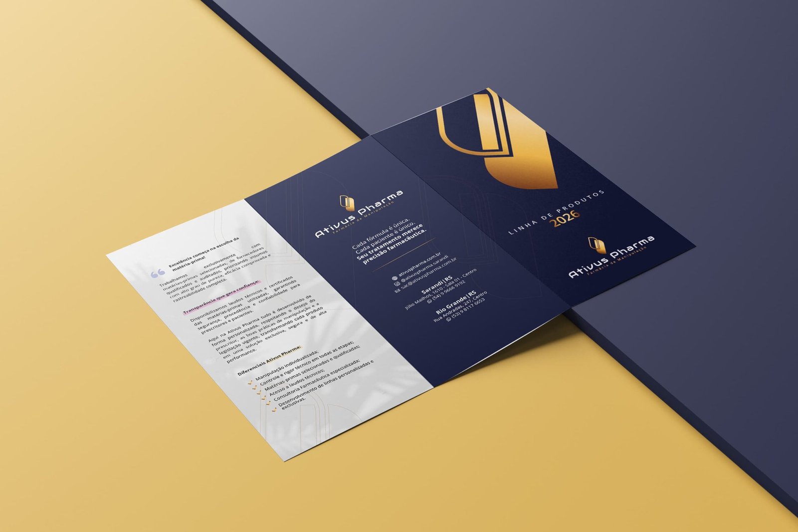 Impressos - Folder Ativus 3